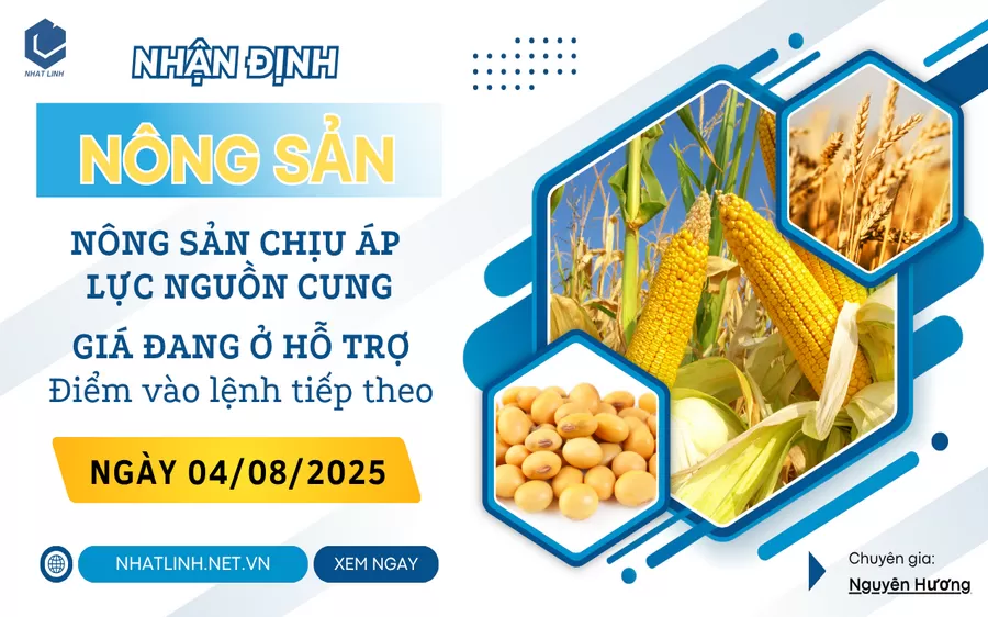 NHẬN ĐỊNH: NHÓM NÔNG SẢN NGÀY 04/08/2025